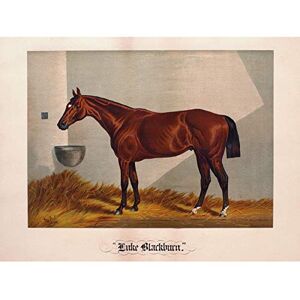 Artery8 After Henry Stull Luke Blackburn 1881 Premium Wall Art Canvas Print 18X24 Inch Artery8 After Henry Stull Luke Blackburn 1881 Premium Wall Art Canvas Print 18X24 Inch