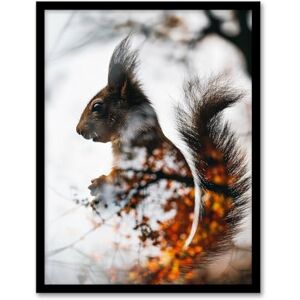 Artery8 Squirrel Lover Autumn Photo Woodland Animal For Living Room Artwork Framed Wall Art Print A4 Artery8 Squirrel Lover Autumn Photo Woodland Animal For Living Room Artwork Framed Wall Art Print A4