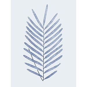 Wee Blue Coo Botanics Cobalt Fern Diversifolium Large Wall Art Print Canvas Premium Poster Wee Blue Coo Botanics Cobalt Fern Diversifolium Large Wall Art Print Canvas Premium Poster