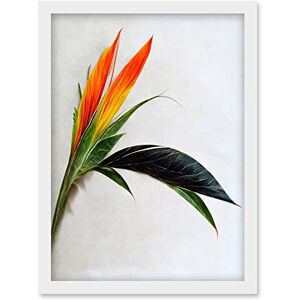 Wee Blue Coo Tropical Plant Bird of Paradise Flower Botanical Bloom Artwork Framed Wall Art Print A4 Wee Blue Coo Tropical Plant Bird of Paradise Flower Botanical Bloom Artwork Framed Wall Art Print A4