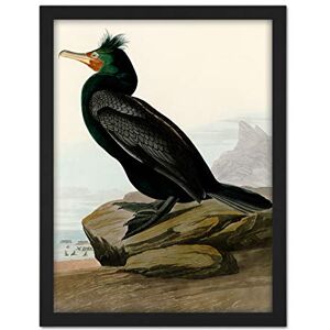 Artery8 Audubon Birds Double Crest Cormorant Painting Artwork Framed Wall Art Print 18X24 Inch Artery8 Audubon Birds Double Crest Cormorant Painting Artwork Framed Wall Art Print 18X24 Inch