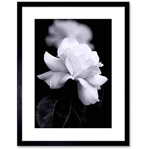 Wee Blue Coo Photo Nature Black White Rose Petal Flower Framed Wall Art Print Wee Blue Coo Photo Nature Black White Rose Petal Flower Framed Wall Art Print