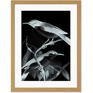 Wee Blue Coo Birds Illustration Night Large Framed Art Print Wall Poster 18x24 inch Wee Blue Coo Birds Illustration Night Large Framed Art Print Wall Poster 18x24 inch