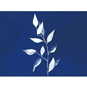 Wee Blue Coo Cobalt Botanics Leaves Plant Watercolour Large Wall Art Poster Print Thick Paper 18X24 Inch Wee Blue Coo Cobalt Botanics Leaves Plant Watercolour Large Wall Art Poster Print Thick Paper 18X24 Inch
