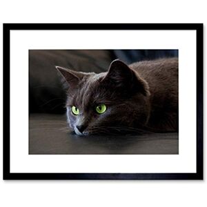 Wee Blue Coo Resting Black Cat Kitten Green Eye Art Picture Framed Wall Art Print Wee Blue Coo Resting Black Cat Kitten Green Eye Art Picture Framed Wall Art Print