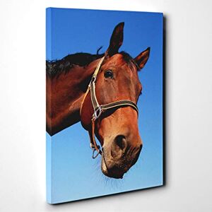Big Box Art Horse Canvas Print Gallery Wrapped 30mm Frame Wall Art 30x20 inches Ready to Hang Modern Animals Picture Living Room Bedroom Lounge Office Big Box Art Horse Canvas Print Gallery Wrapped 30mm Frame Wall Art 30x20 inches Ready to Hang Modern Animals Picture Living Room Bedroom Lounge Office