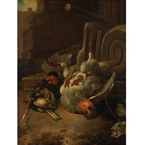 Artery8 D'Hondecoeter Dead Birds Painting Premium Wall Art Canvas Print 18X24 Inch Artery8 D'Hondecoeter Dead Birds Painting Premium Wall Art Canvas Print 18X24 Inch