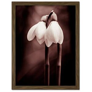 Wee Blue Coo Two Snowdrops Flowers Artwork Framed Wall Art Print 18X24 Inch Wee Blue Coo Two Snowdrops Flowers Artwork Framed Wall Art Print 18X24 Inch