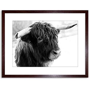 Wee Blue Coo Photo Composition Animal Livestock Highland Cow Bull Framed Wall Art Print Wee Blue Coo Photo Composition Animal Livestock Highland Cow Bull Framed Wall Art Print