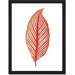 Wee Blue Coo Botanics Red Orange Stripes Large Black Framed Art Print Wall Poster 18x24 inch Wee Blue Coo Botanics Red Orange Stripes Large Black Framed Art Print Wall Poster 18x24 inch