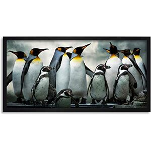 Wee Blue Coo Emperor Penguins Chick Bird Long Panel Framed Wall Art Print Wee Blue Coo Emperor Penguins Chick Bird Long Panel Framed Wall Art Print