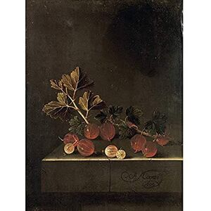 Artery8 Coorte Sprig Gooseberries On Stone Plinth Painting Unframed Wall Art Print Poster Home Decor Premium Artery8 Coorte Sprig Gooseberries On Stone Plinth Painting Unframed Wall Art Print Poster Home Decor Premium