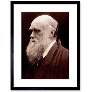Wee Blue Coo Photo Portrait Cameron Naturalist Charles Robert Darwin Framed Art Print Wee Blue Coo Photo Portrait Cameron Naturalist Charles Robert Darwin Framed Art Print