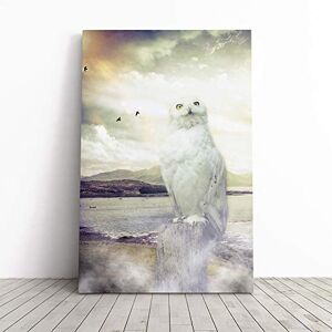 Big Box Art Owl Bird (2) Canvas Print Gallery Wrapped 30mm Frame Wall Art 24x16 inches Ready to Hang Modern Animals Picture Living Room Bedroom Lounge Office Big Box Art Owl Bird (2) Canvas Print Gallery Wrapped 30mm Frame Wall Art 24x16 inches Ready to Hang Modern Animals Picture Living Room Bedroom Lounge Office