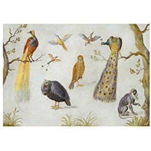 Wee Blue Coo Painting Van Kessel (cir.) Study Of Birds And Monkeys I Wall Art Print Wee Blue Coo Painting Van Kessel (cir.) Study Of Birds And Monkeys I Wall Art Print