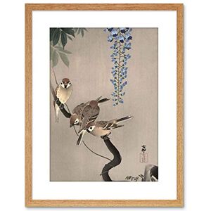 Wee Blue Coo Painting Japan Nature Sparrow Bird Flower Shoson Ohara Framed Wall Art Print Wee Blue Coo Painting Japan Nature Sparrow Bird Flower Shoson Ohara Framed Wall Art Print