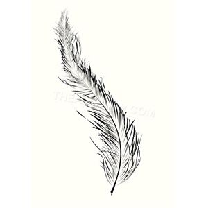 Wee Blue Coo Painting Floating Feather Bird B&W Wall Art Print Wee Blue Coo Painting Floating Feather Bird B&W Wall Art Print