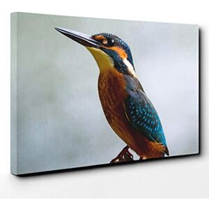 Big Box Art Kingfisher Bird Canvas Print Gallery Wrapped 30mm Frame Wall Art 20x14 inches Ready to Hang Modern Animals Picture Living Room Bedroom Lounge Office Big Box Art Kingfisher Bird Canvas Print Gallery Wrapped 30mm Frame Wall Art 20x14 inches Ready to Hang Modern Animals Picture Living Room Bedroom Lounge Office