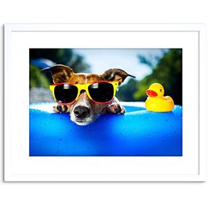 Wee Blue Coo Photo Jack Russell Beach Dog Rubber Duck Art Print Framed Poster Wall Decor 9x7 inch Wee Blue Coo Photo Jack Russell Beach Dog Rubber Duck Art Print Framed Poster Wall Decor 9x7 inch