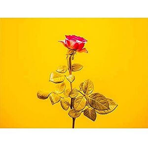 Fine Art Prints Grosicki Red Flower Golden Leaves Canvas Wall Art Print Fine Art Prints Grosicki Red Flower Golden Leaves Canvas Wall Art Print