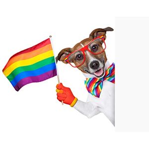 Fine Art Prints Jack Russell Gay Pride Large Wall Art Print Canvas Premium Poster Fine Art Prints Jack Russell Gay Pride Large Wall Art Print Canvas Premium Poster