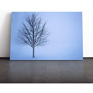 Big Box Art Canvas Print Wall Art Landscape Lone Tree in The Winter Mounted & Stretched Box Frame Picture Home Decor for Kitchen, Living Room, Bedroom, Hallway, Multi-Colour, 24x16 Inch Big Box Art Canvas Print Wall Art Landscape Lone Tree in The Winter Mounted & Stretched Box Frame Picture Home Decor for Kitchen, Living Room, Bedroom, Hallway, Multi-Colour, 24x16 Inch
