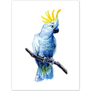 Wee Blue Coo Bird Cockatoo Painting Art Print Canvas Premium Wall Decor Poster Wee Blue Coo Bird Cockatoo Painting Art Print Canvas Premium Wall Decor Poster