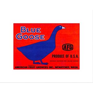 Wee Blue Coo Advert Food Fruit Apples Blue Goose Bird Usa Wall Art Print Wee Blue Coo Advert Food Fruit Apples Blue Goose Bird Usa Wall Art Print