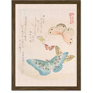 Fine Art Prints Kubo Shunman Moths And Butterflies Large Brown Framed Art Print Wall Poster 18x24 inch Fine Art Prints Kubo Shunman Moths And Butterflies Large Brown Framed Art Print Wall Poster 18x24 inch