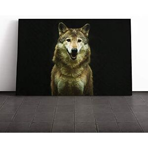Big Box Art Wolf (3) Canvas Print Gallery Wrapped 30mm Frame Wall Art 20x14 inches Ready to Hang Modern Animals Picture Living Room Bedroom Lounge Office Big Box Art Wolf (3) Canvas Print Gallery Wrapped 30mm Frame Wall Art 20x14 inches Ready to Hang Modern Animals Picture Living Room Bedroom Lounge Office