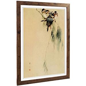Big Box Art Framed Print of Blue Finches Birds Japanese Oriental Design Wall Art Picture Home Decor for Kitchen, Living Room, Bedroom, Hallway, Walnut, A2 / 24.5x18 Inch / 62x45cm Big Box Art Framed Print of Blue Finches Birds Japanese Oriental Design Wall Art Picture Home Decor for Kitchen, Living Room, Bedroom, Hallway, Walnut, A2 / 24.5x18 Inch / 62x45cm
