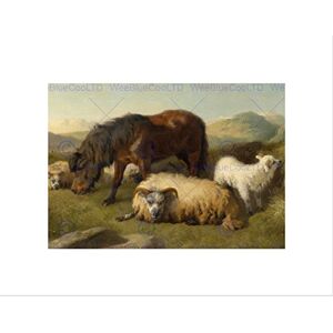 Wee Blue Coo PAINTING ANIMAL GOAT SHEEP PONY HORSE ANSDELL FRAMED ART PRINT MOUNT B12X12765 Wee Blue Coo PAINTING ANIMAL GOAT SHEEP PONY HORSE ANSDELL FRAMED ART PRINT MOUNT B12X12765