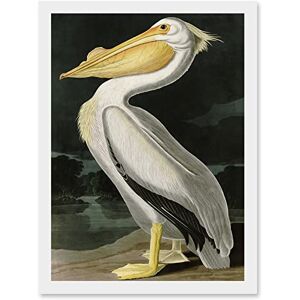 Artery8 - Audubon Birds White Pelican - White - A4 - Wall Art Artery8 - Audubon Birds White Pelican - White - A4 - Wall Art