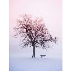 Wee Blue Coo Winter Landscape Snow Tree Foggy Sunrise Unframed Wall Art Print Poster Home Decor Premium Wee Blue Coo Winter Landscape Snow Tree Foggy Sunrise Unframed Wall Art Print Poster Home Decor Premium