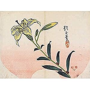 Fine Art Prints Lily 1839 Yamada Hogyoku Art Print Canvas Premium Wall Decor Poster Mural Fine Art Prints Lily 1839 Yamada Hogyoku Art Print Canvas Premium Wall Decor Poster Mural