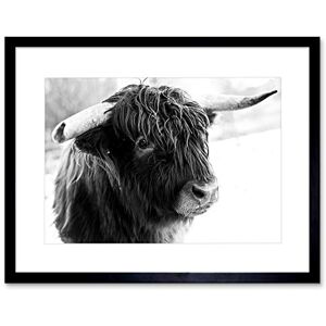 Wee Blue Coo Photo Composition Animal Livestock Highland Cow Bull Framed Wall Art Print Wee Blue Coo Photo Composition Animal Livestock Highland Cow Bull Framed Wall Art Print