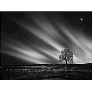 Fine Art Prints Lone Tree Landscape Aurora Black White Canvas Wall Art Print Fine Art Prints Lone Tree Landscape Aurora Black White Canvas Wall Art Print