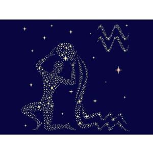 Wee Blue Coo Painting Illustration Zodiac Star Sign Aquarius Water Art Print Poster Wall Decor 12X16 Inch Wee Blue Coo Painting Illustration Zodiac Star Sign Aquarius Water Art Print Poster Wall Decor 12X16 Inch
