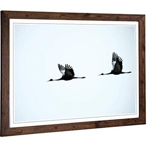 Big Box Art Framed Print of Flying Cranes Birds Design Wall Art Picture Home Decor for Kitchen, Living, Dining Room, Lounge, Bedroom, Hallway, Office, Walnut, A2 / 24.5x18 Inch / 62x45cm Big Box Art Framed Print of Flying Cranes Birds Design Wall Art Picture Home Decor for Kitchen, Living, Dining Room, Lounge, Bedroom, Hallway, Office, Walnut, A2 / 24.5x18 Inch / 62x45cm
