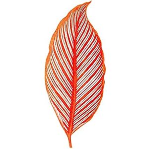 Wee Blue Coo Botanics Red Orange Stripes Unframed Art Print Poster Wall Decor 12x16 inch Wee Blue Coo Botanics Red Orange Stripes Unframed Art Print Poster Wall Decor 12x16 inch