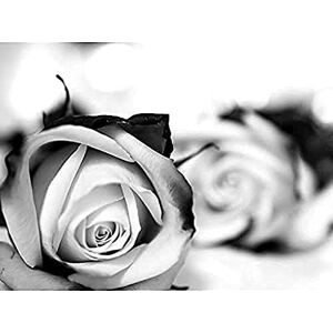 Fine Art Prints Black And White Roses Romance Unframed Wall Art Print Poster Home Decor Fine Art Prints Black And White Roses Romance Unframed Wall Art Print Poster Home Decor