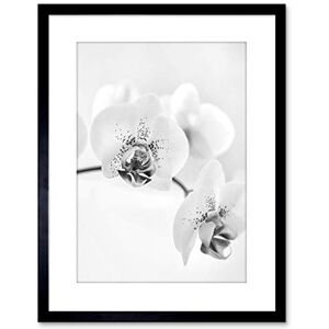 Wee Blue Coo Photo Nature Plant Orchid Flower Black White Framed Wall Art Print Wee Blue Coo Photo Nature Plant Orchid Flower Black White Framed Wall Art Print
