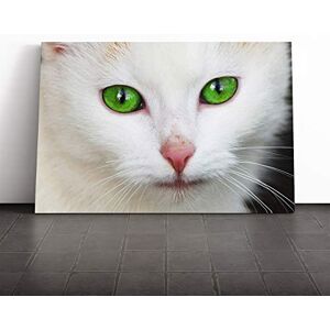 Big Box Art Cat Eyes (1) Canvas Print Gallery Wrapped 30mm Frame Wall Art 24x16 inches Ready to Hang Modern Animals Picture Living Room Bedroom Lounge Office Big Box Art Cat Eyes (1) Canvas Print Gallery Wrapped 30mm Frame Wall Art 24x16 inches Ready to Hang Modern Animals Picture Living Room Bedroom Lounge Office