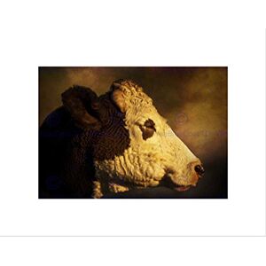 Wee Blue Coo PHOTO ANIMAL COMPOSITION PORTRAIT COW CATTLE FARM FRAMED ART PRINT B12X13000 Wee Blue Coo PHOTO ANIMAL COMPOSITION PORTRAIT COW CATTLE FARM FRAMED ART PRINT B12X13000