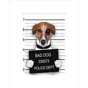 Wee Blue Coo Jack Russell Dog Mugshot Police Bad Picture Wall Art Print Wee Blue Coo Jack Russell Dog Mugshot Police Bad Picture Wall Art Print