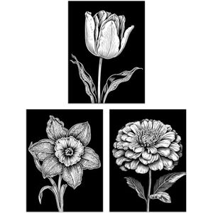 Artery8 Set of 3 Elegant Spring Flowers Tulip Daffodil Zinnia White on Black Impact Artworks Unframed Wall Art Living Room Poster Prints Pack Artery8 Set of 3 Elegant Spring Flowers Tulip Daffodil Zinnia White on Black Impact Artworks Unframed Wall Art Living Room Poster Prints Pack