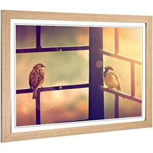 Big Box Art Framed Print of Two Birds Design Wall Art Picture Home Decor for Kitchen, Living, Dining Room, Lounge, Bedroom, Hallway, Office, Oak, A2 / 24.5x18 Inch / 62x45cm Big Box Art Framed Print of Two Birds Design Wall Art Picture Home Decor for Kitchen, Living, Dining Room, Lounge, Bedroom, Hallway, Office, Oak, A2 / 24.5x18 Inch / 62x45cm