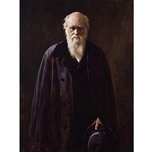 Wee Blue Coo Painting Collier Portrait Scientist Charles Darwin Art Print Poster Wall Decor 12X16 Inch Wee Blue Coo Painting Collier Portrait Scientist Charles Darwin Art Print Poster Wall Decor 12X16 Inch