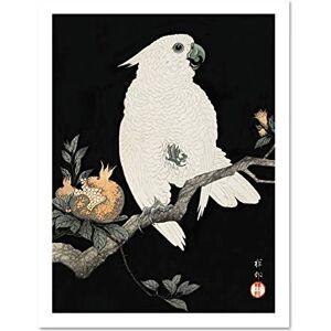 Wee Blue Coo Cockatoo Pomegranate Ohara Koson Large Framed Art Print Wall Poster 18x24 inch Wee Blue Coo Cockatoo Pomegranate Ohara Koson Large Framed Art Print Wall Poster 18x24 inch
