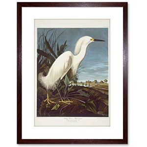 Wee Blue Coo Painting Bird Audubon Snowy Heron Egret Framed Wall Art Print Wee Blue Coo Painting Bird Audubon Snowy Heron Egret Framed Wall Art Print